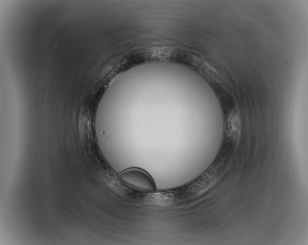 X0000116510522200912161341