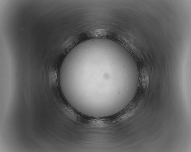 X0000116510523200912161341