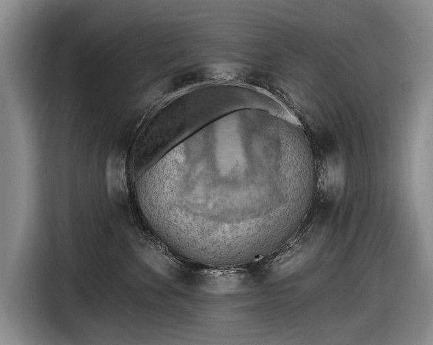 X0000116510524200912161341