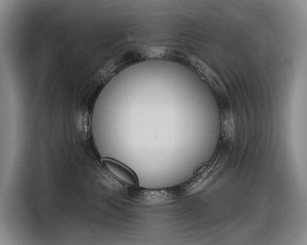 X0000116510525200912161341