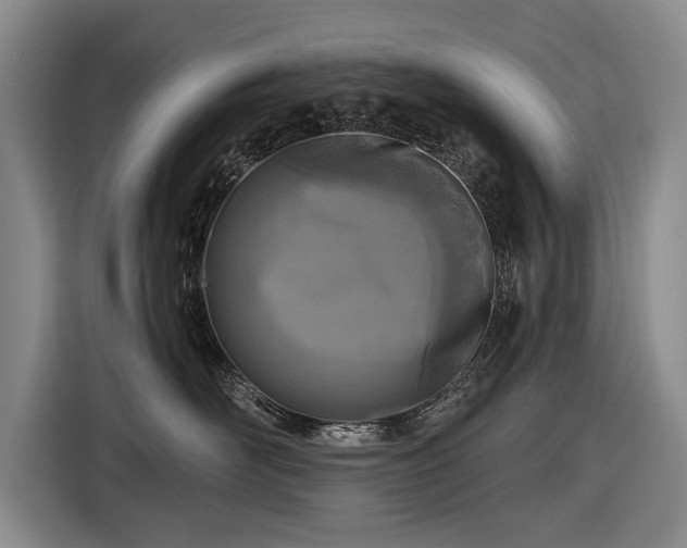 X0000116510526200912161341