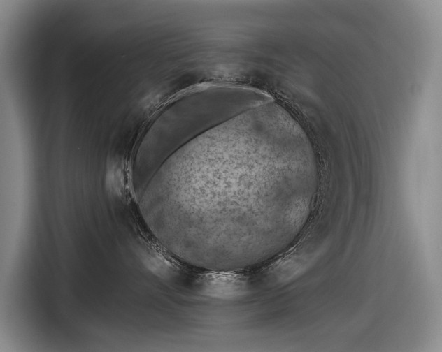 X0000116510528200912161341