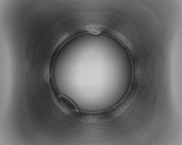 X0000116510530200912161340