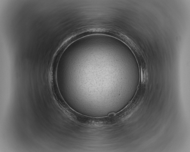 X0000116510531200912161340