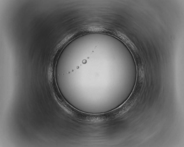 X0000116510533200912161340