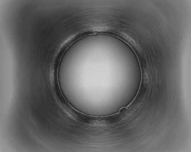 X0000116510535200912161340