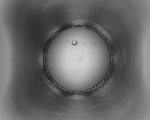 X0000116510537200912161340