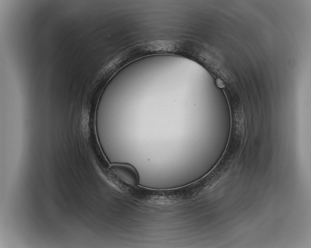 X0000116510538200912161340