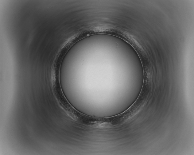 X0000116510539200912161340