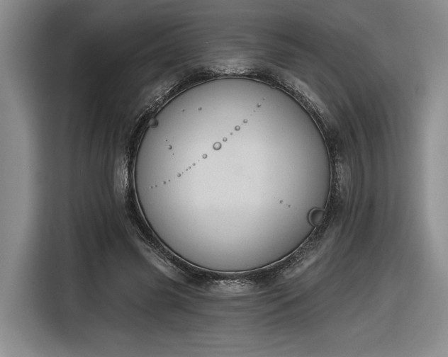 X0000116510541200912161340