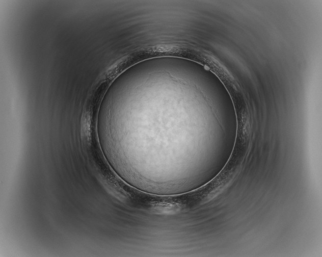 X0000116510542200912161340