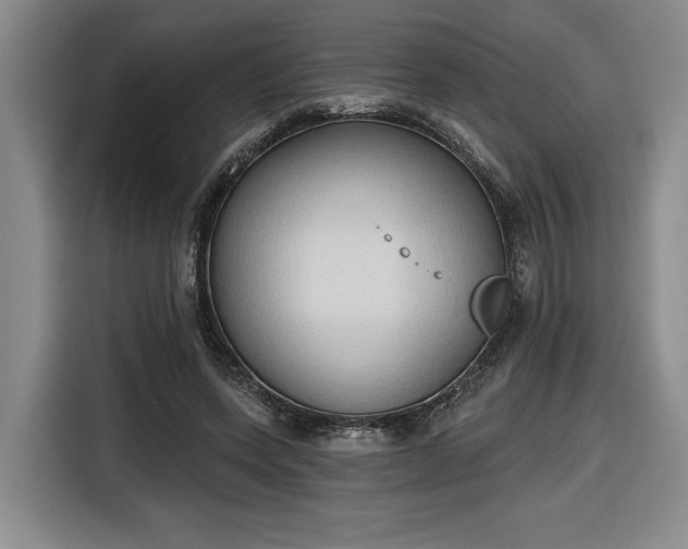 X0000116510543200912161341