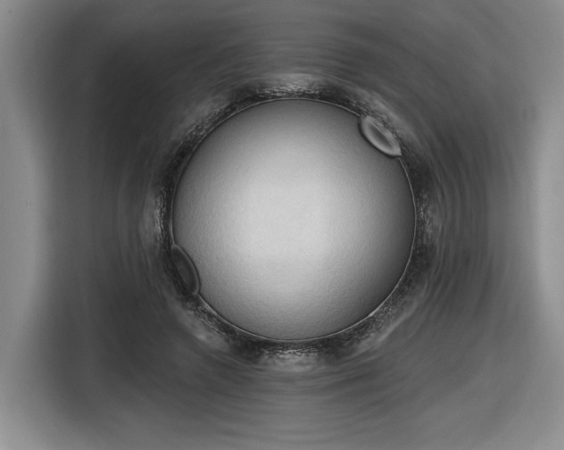 X0000116510546200912161341