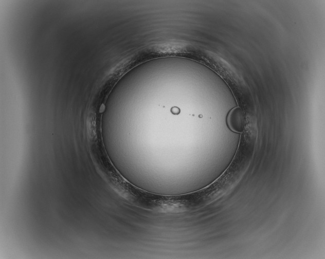 X0000116510547200912161341