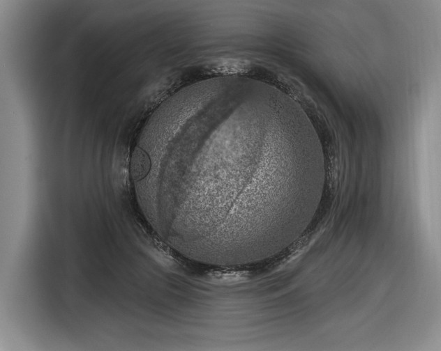 X0000116510553200912161341