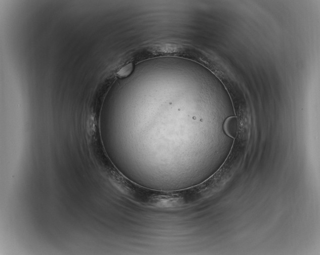 X0000116510555200912161341