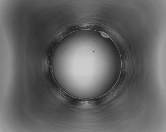 X0000116510558200912161341