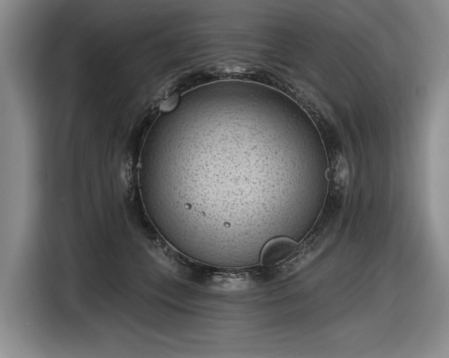 X0000116510559200912161341