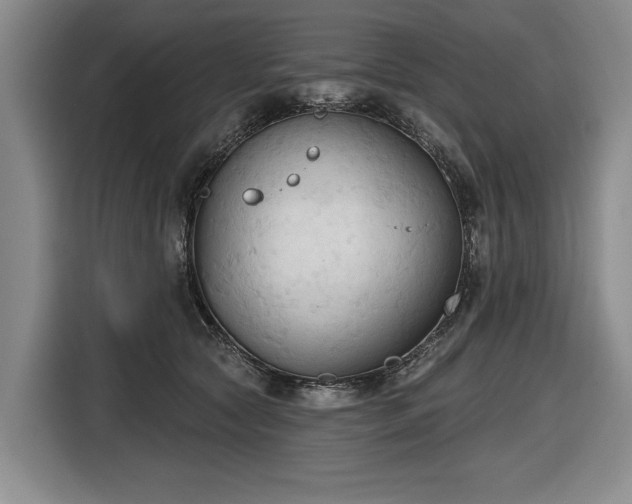 X0000116510561200912161341