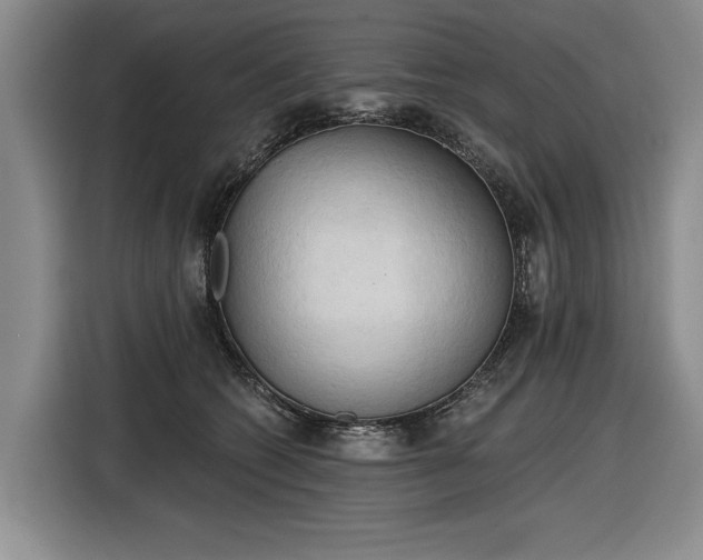 X0000116510562200912161341