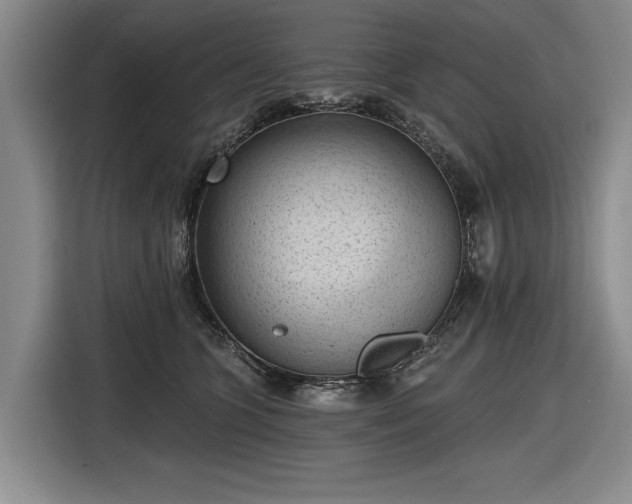 X0000116510563200912161341