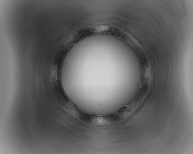 X0000116510565200912161341