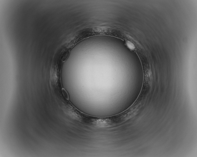 X0000116510566200912161341