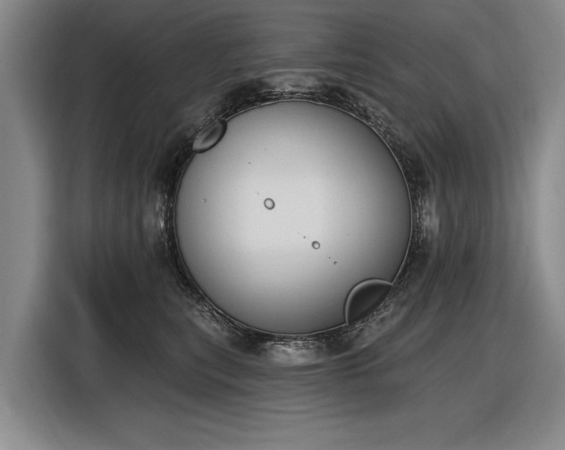 X0000116510567200912161341