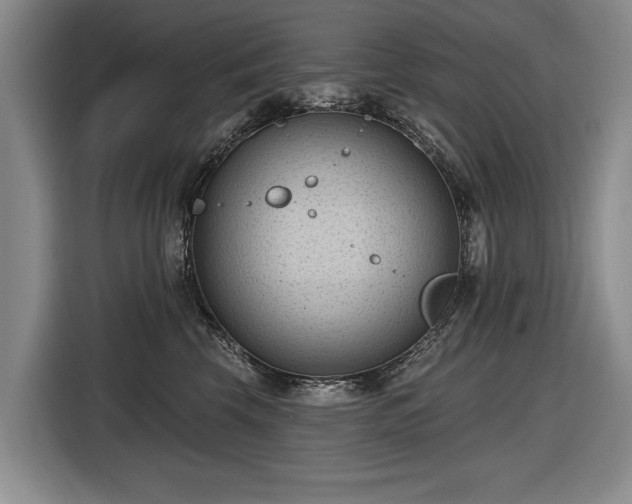 X0000116510569200912161341