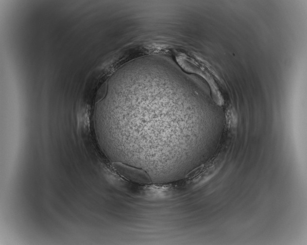 X0000116510570200912161341