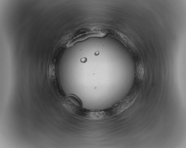 X0000116510571200912161341