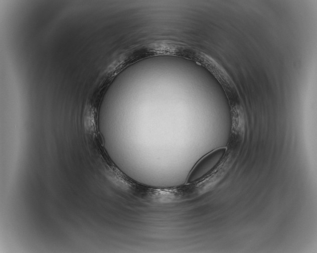 X0000116510573200912161341