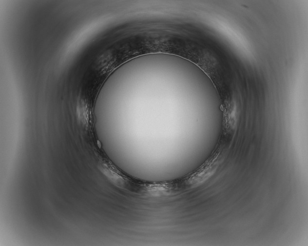 X0000116510574200912161341