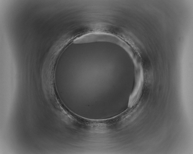 X0000116510577200912161340