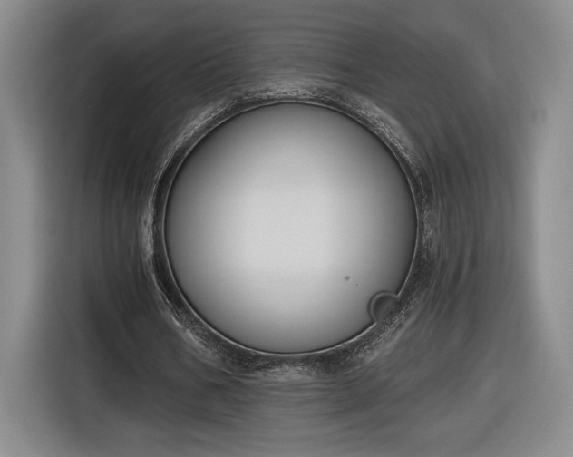 X0000116510578200912161340