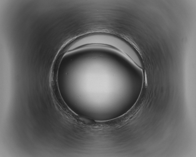 X0000116510579200912161340