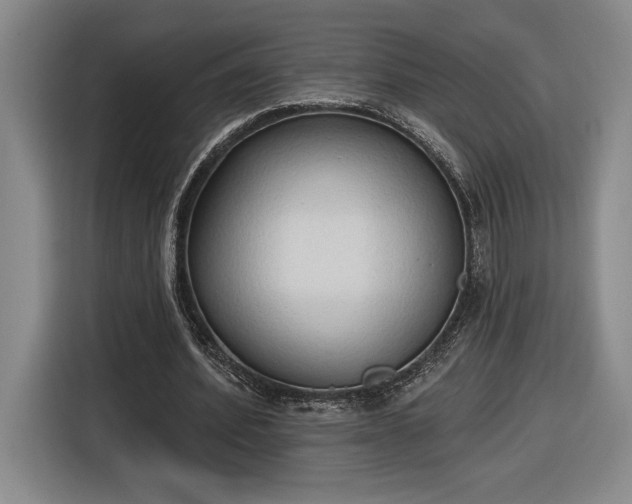 X0000116510580200912161340