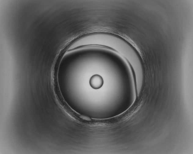 X0000116510581200912161340