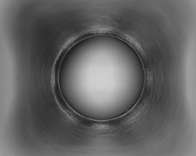 X0000116510582200912161340