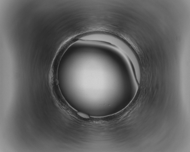 X0000116510583200912161340