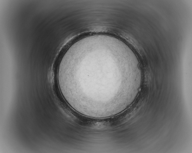 X0000116510584200912161340