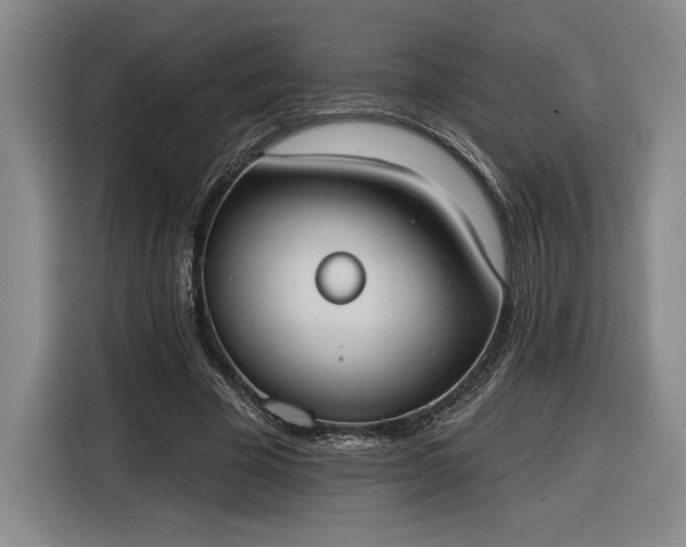 X0000116510585200912161340