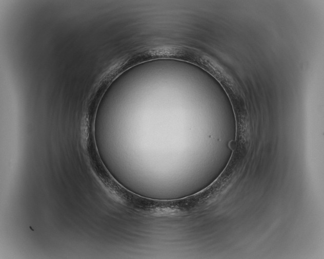 X0000116510586200912161340