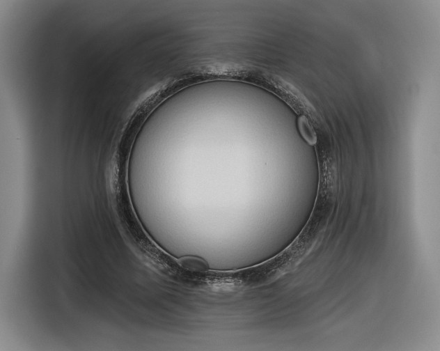 X0000116510587200912161340