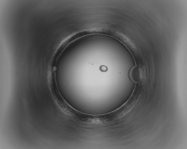 X0000116510588200912161340