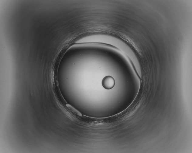 X0000116510589200912161340