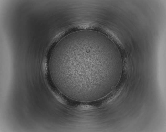 X0000116510590200912161340