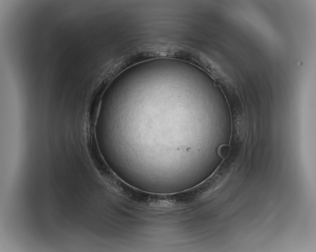 X0000116510594200912161340