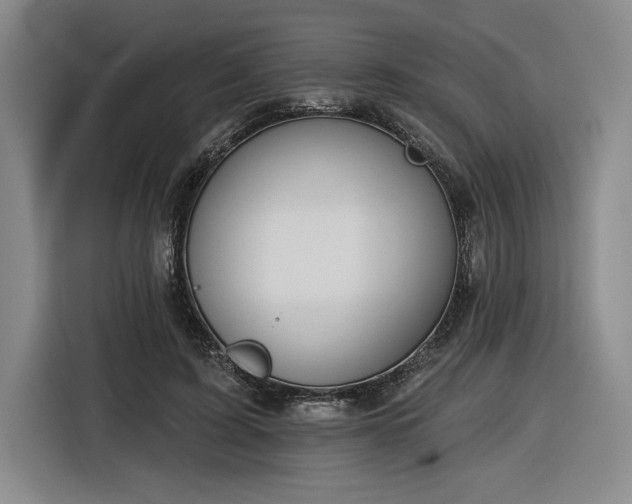 X0000116510595200912161340