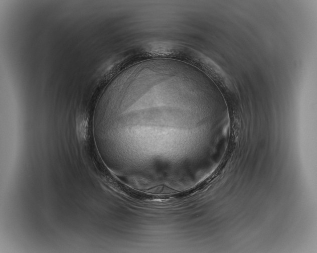 X0000116510596200912161340